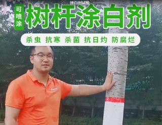 Ϳ�׼�����