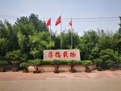 ����һ��