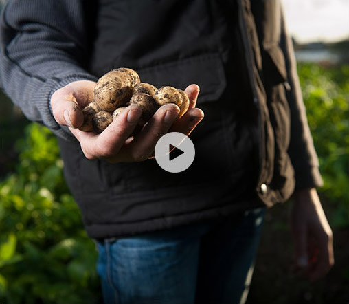 ���ò���Ƶ